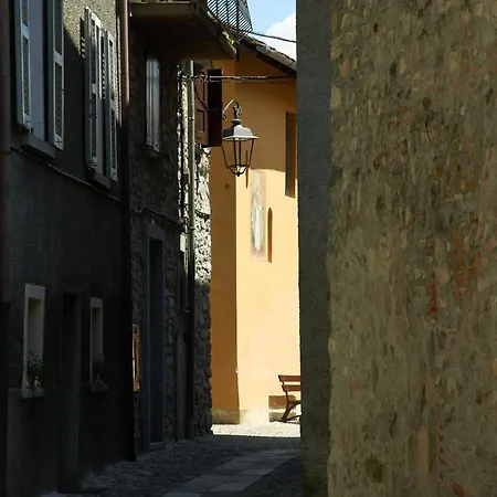 Persimmon