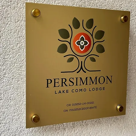 Сasa de vacaciones Persimmon